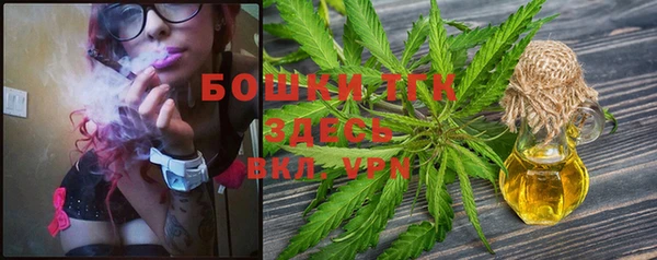 ALPHA PVP Кинешма